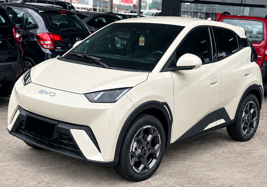 BYD Dolphin Mini 2026/2027 à venda em Florianópolis